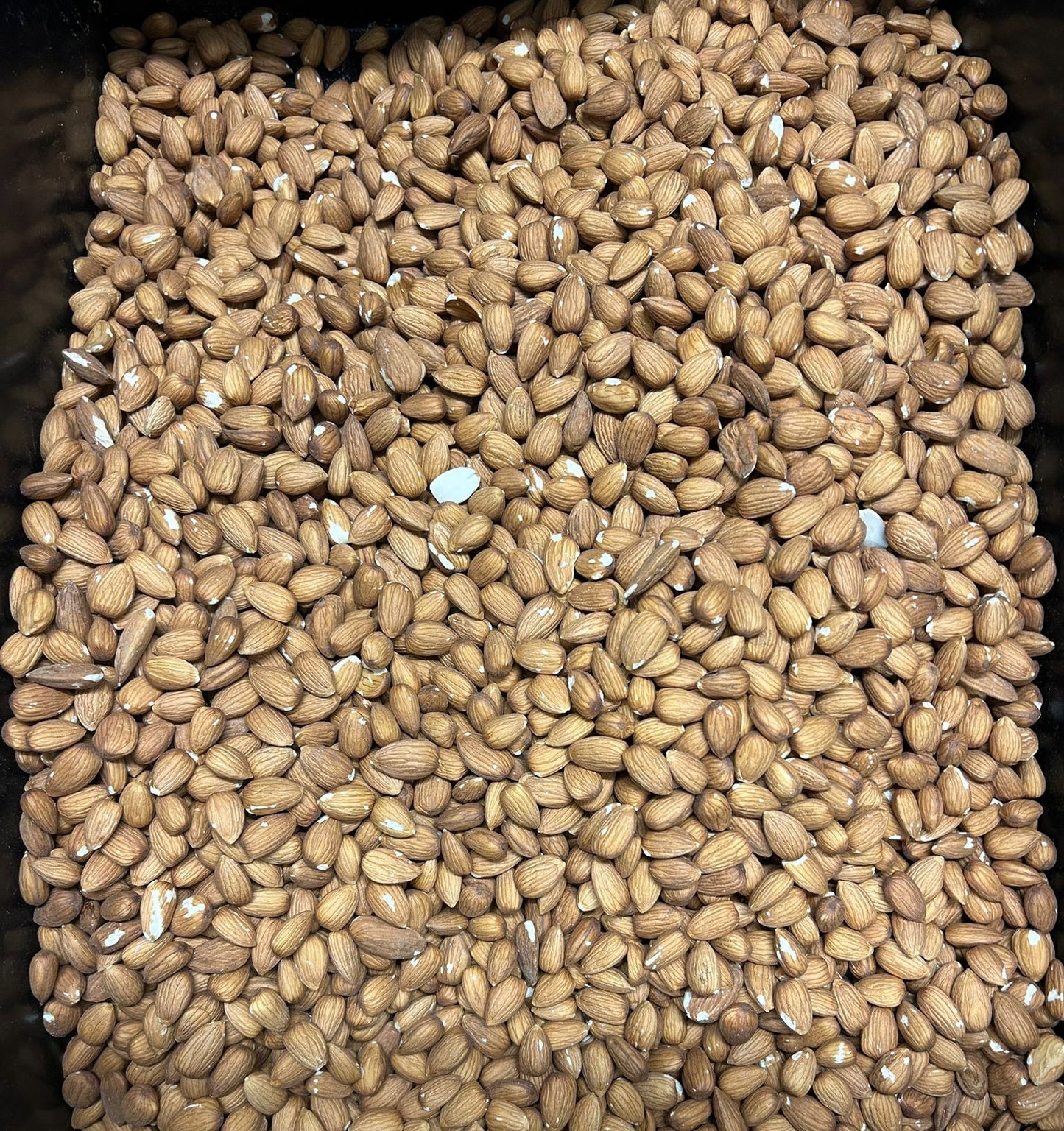 שקד ישראלי טבעי (1ק"ג)