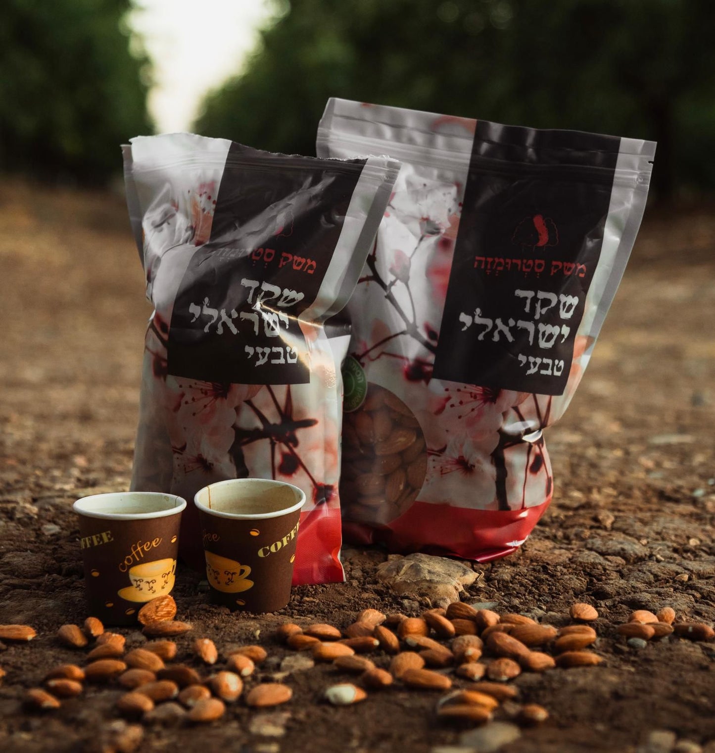 שקד ישראלי טבעי (1ק"ג)