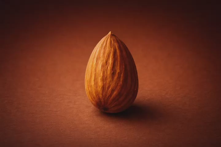 וידאו נטען: 